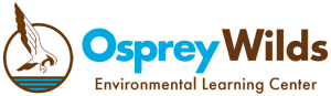 Osprey Wilds